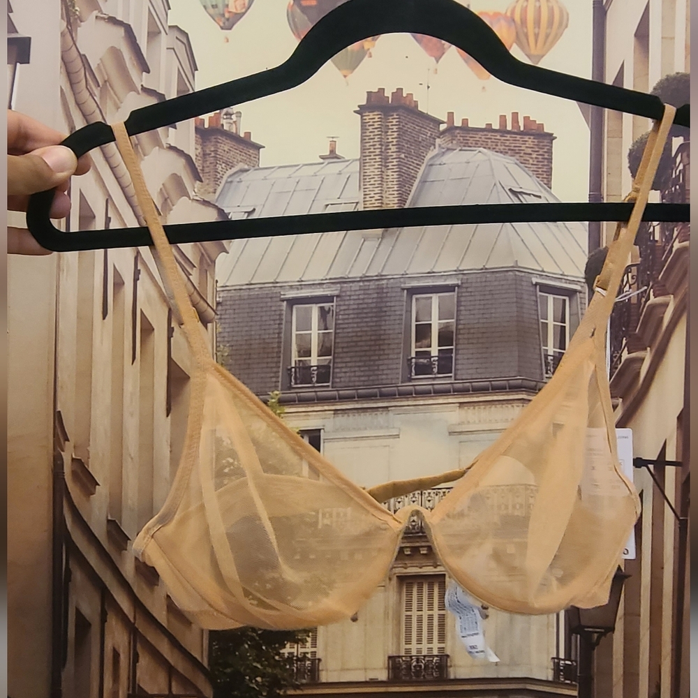 intimissimi Sheer Beige Mesh Underwire Bra